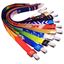 Multi Color Lanyard 