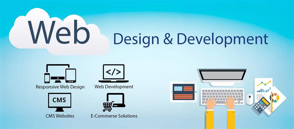 SkoolFrills Web Design & Development
